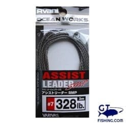 varivas assist leader smp