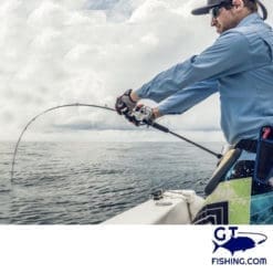 HOWK Hot Spot action