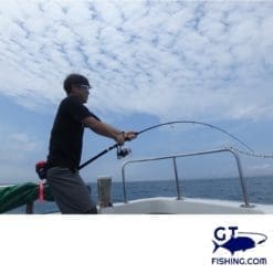 Zenaq Sinpaa Hiramasa action