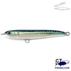 jack fin lara mackerel