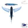 nomad slipstream flying fish 140