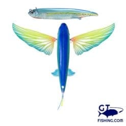 nomad flying fish