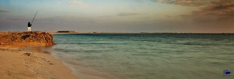 Fishing Saudi Arabia