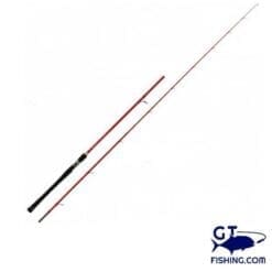 tenryu queen tai